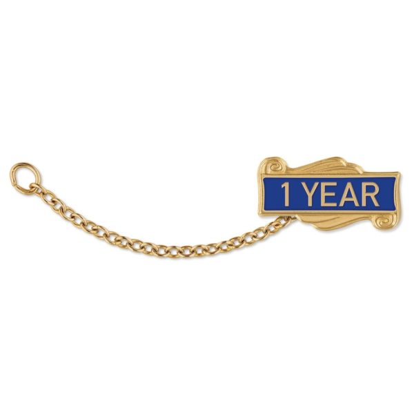 Guard Pin: 1/2/3 Year