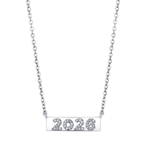 SALE - 2026 Bar Necklace